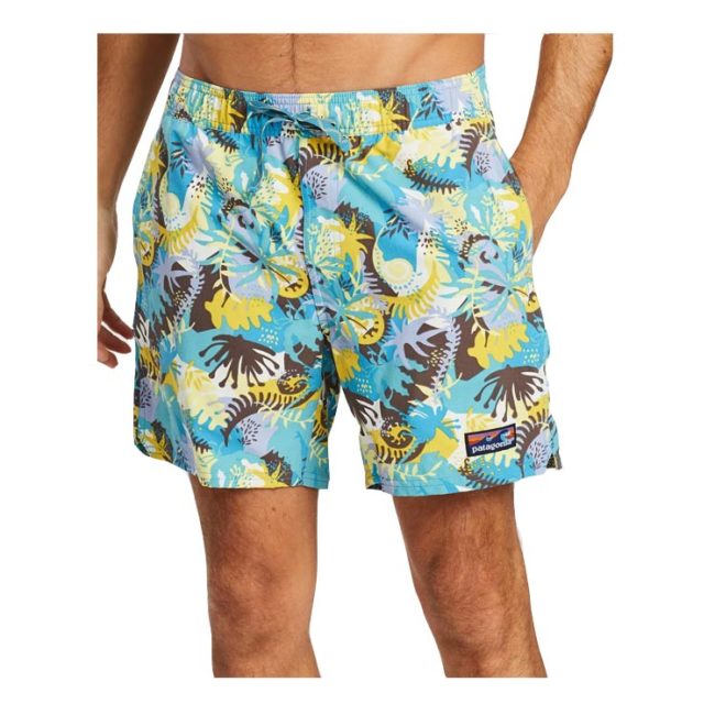 patagonia wavefarer volley shorts