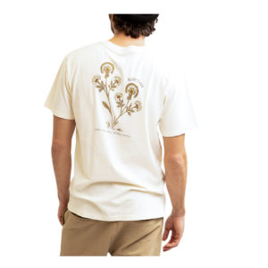 Sage Brush T-Shirt - White