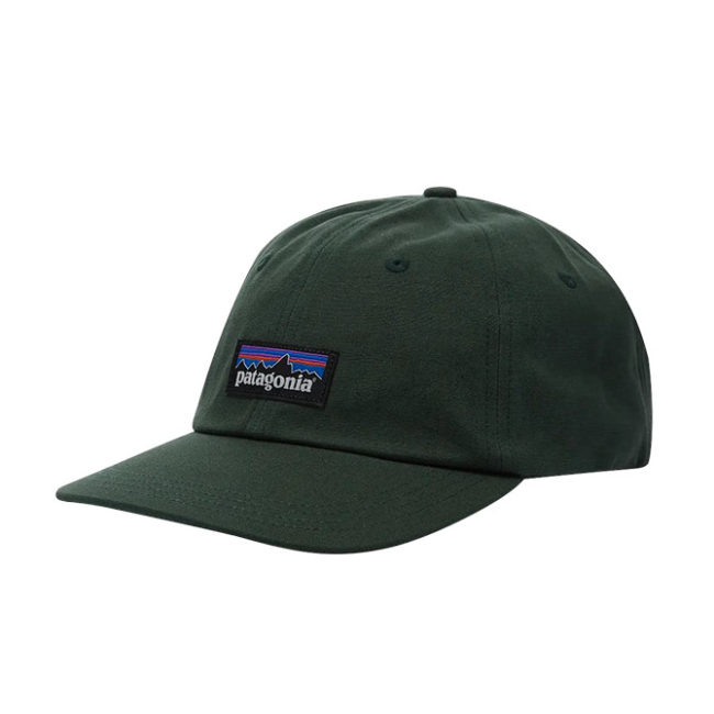 Patagonia P-6 Label Trad Cap - Pinyon Green
