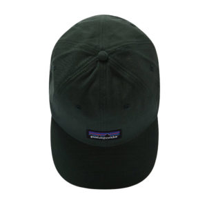 Patagonia P-6 Label Trad Cap - Pinyon Green