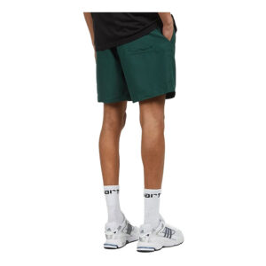 Carhartt Chase Swim Trunks - Botanic / Gold