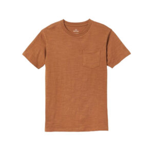 Brixton Basic S/S TLRT - Bison