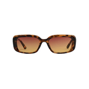 Szade Laneway - Tortoise/ Tequila Sunrise