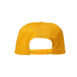 Brixton Township NP HP SNPK - Yellow