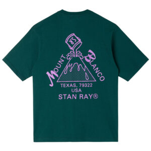 Stan Ray Mount Blanco Tee - Botanical Green