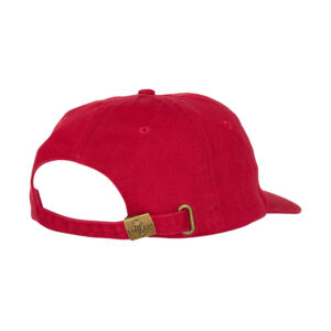 Thrills Minimal Thrills 6 Panel Cap - Redwood