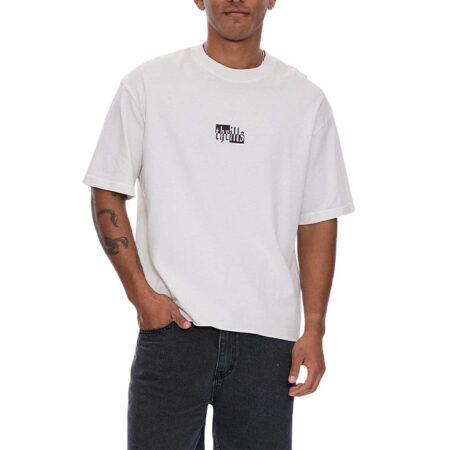 Thrills Excitement Excitement Embro Box Fit Oversize Cropped Raw Hem Tee - Lily White